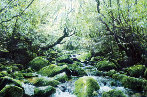 “ The silent drama - Yakushima #13- ”  H57×W85cm,  2016