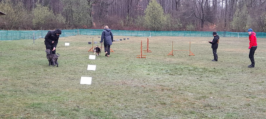 4 Hürden im Kreis.... und im Regen