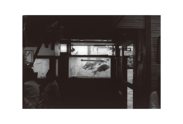ゆくゆくもくもく物語／YUKUYUKU MOKUMOKU STORY　|　Gallery Kaido 