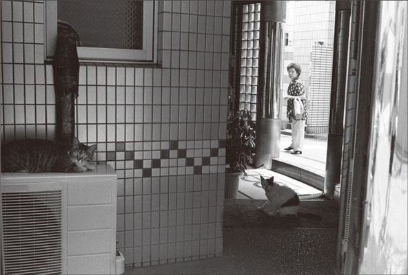 2 days photo exhibition ｜ Gallery Kaido
