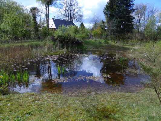 waterpartij