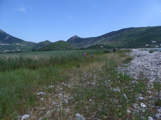 strand aan Buljarica Wetlands