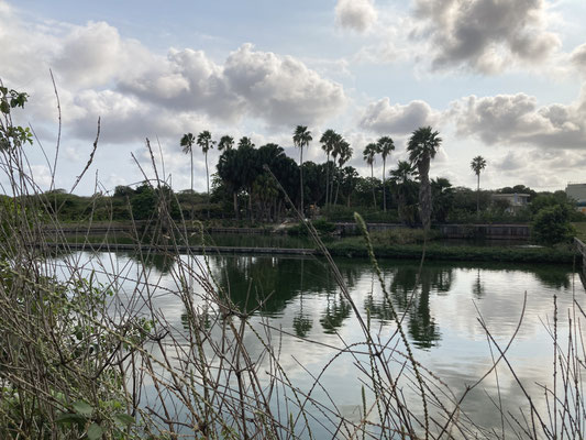 Waterzuivering Klein Hofje