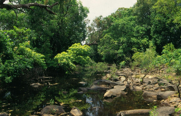 riviertjes in Kakadu NP