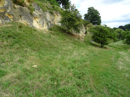 grotten van de Bemelerberg