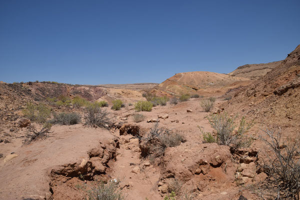 Coloured Sands