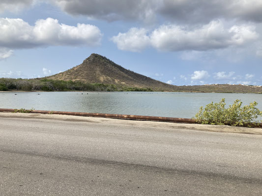 Flamingohabitat Weg naar Bullenbaai