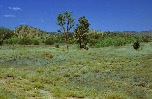 vogelgebiedje omgeving AliceSprings
