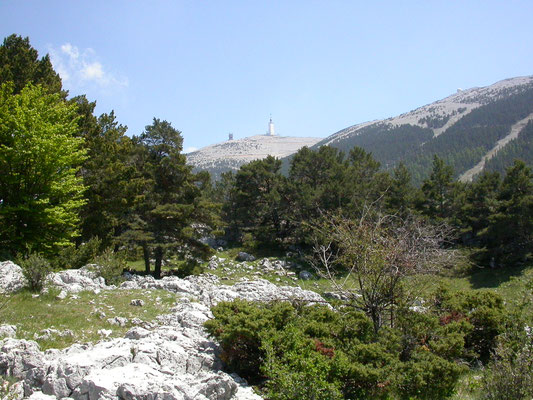 Mont Serein