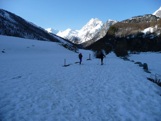 sneeuwlandschap