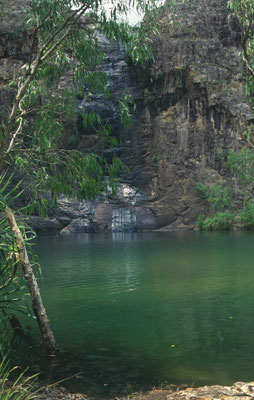 Waterfall Creeks