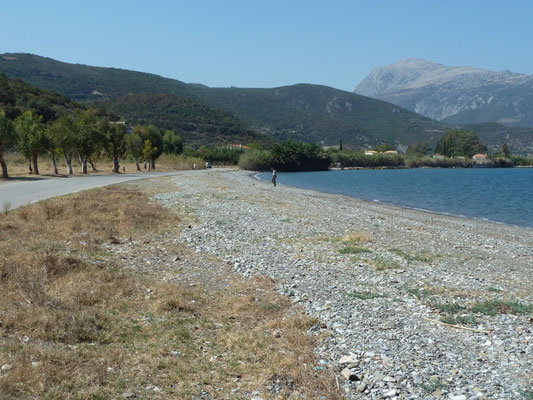 strand