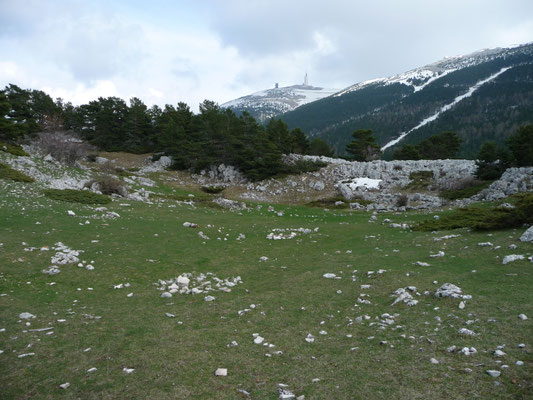 Mont Serein