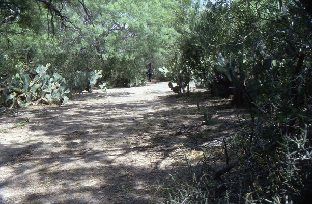 Santa Margarita Ranch