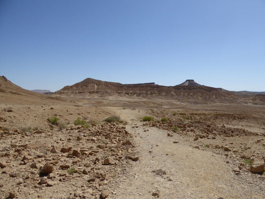 richting ammonietenwand in Ramon krater