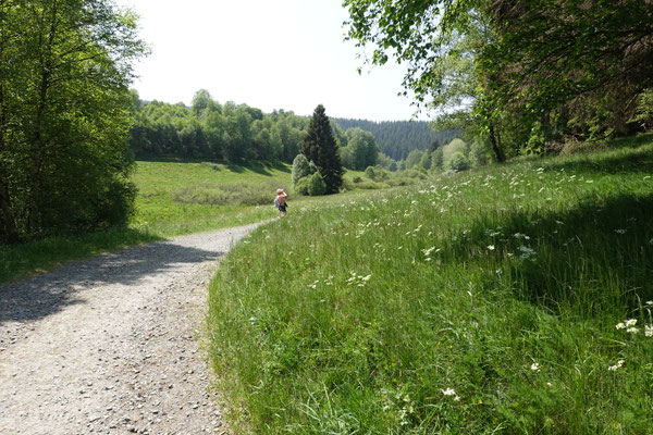 Omgeving van Perlenbachtal