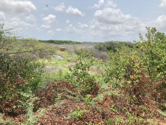 Zoetwaterpoel Muizenberg
