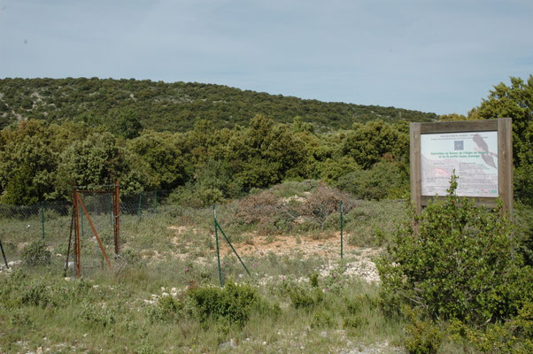 Ardèche