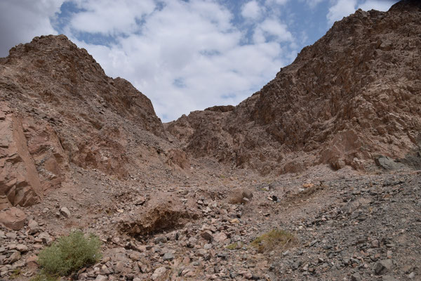 Wadi Schlomo