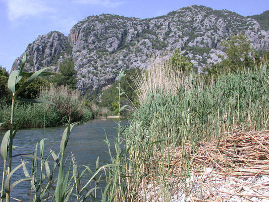 Olympos