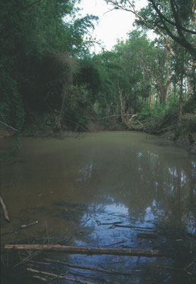 Mary River
