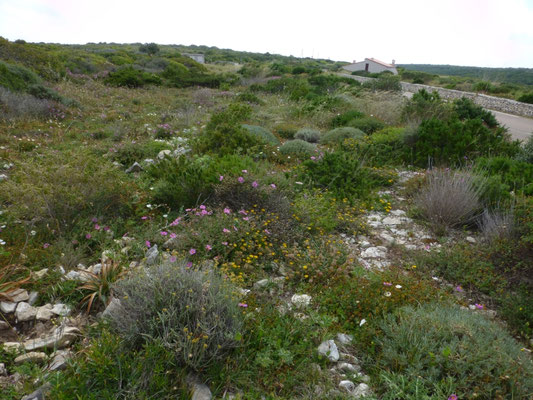 tussenstop richting Sardinië 
