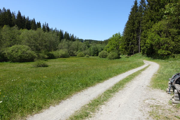 Omgeving Perlenbachtal