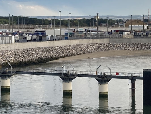 Zeehonden (5 totaal) in haven van Calais