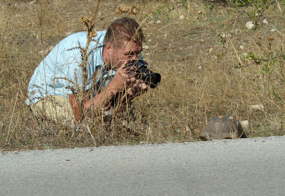 Marcel efotografeert klokschildpad (Testudo marginata)