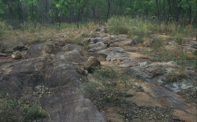 omgeving Mary River Roadhouse