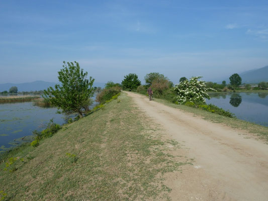 Limnochori