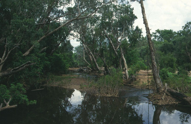 riviertjes in Kakadu NP
