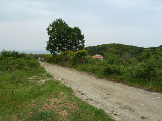 natuur bij Bernds huis