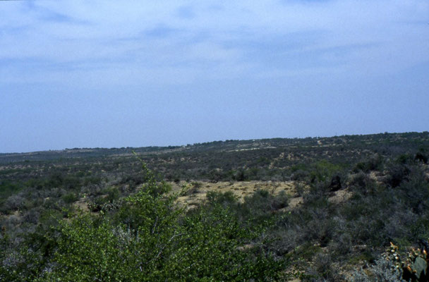 Uitzicht vanaf het Garner State Park
