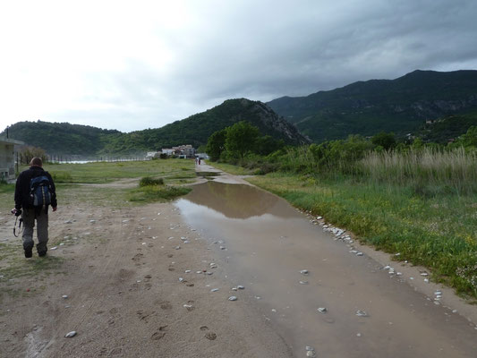 Buljarica wetlands
