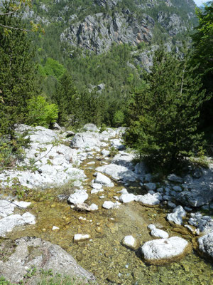 bergboswandeling nabij Prionia