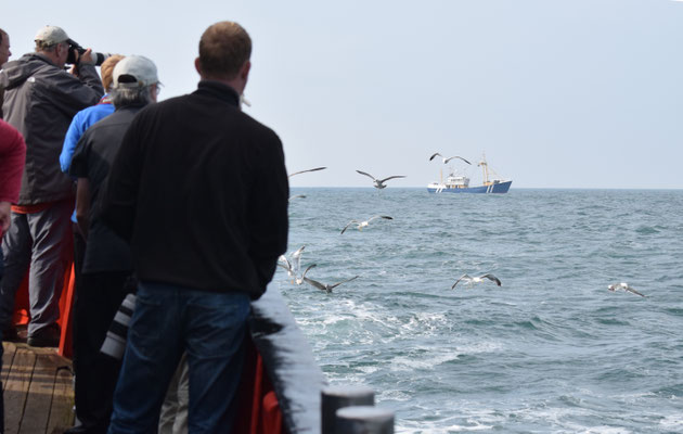 Dave; op weg terug