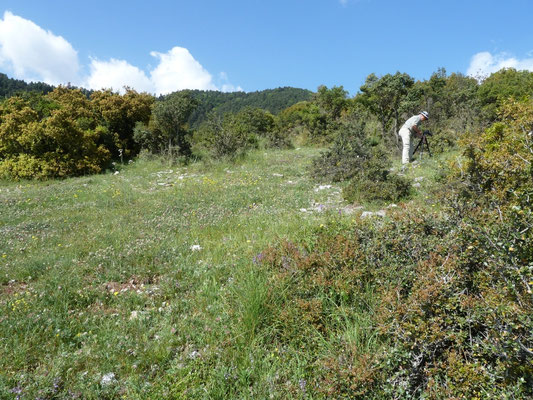 omgeving Litochoro, Mount Olympos