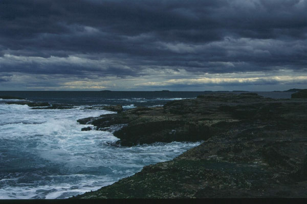 Kust Woolagong