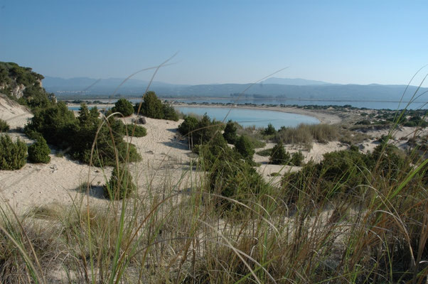 duinen