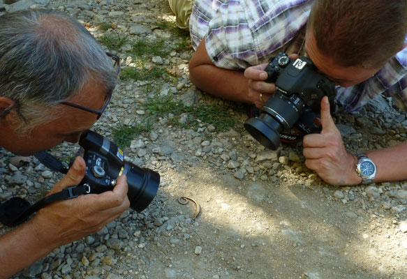 fotosessie