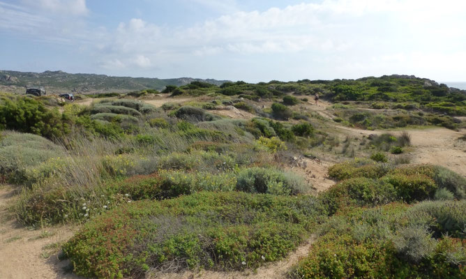 duinen