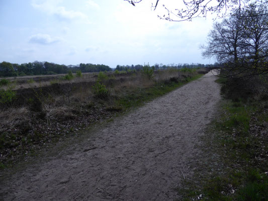 Het Balloërveld