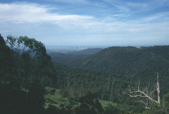 Uitzicht op de Gold Coast