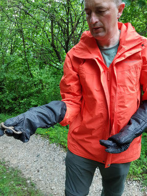Martin met zandadder