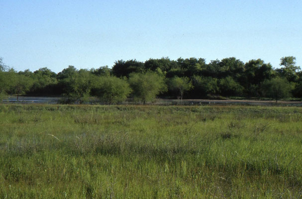 Santa Ana National Wildlife Refuge