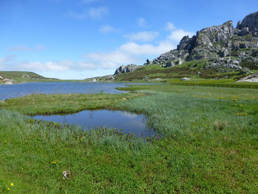 Lago de la Ercina