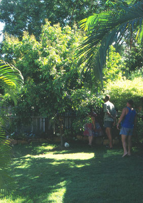 Huis en tuin van vam Uncle Hank in Moura