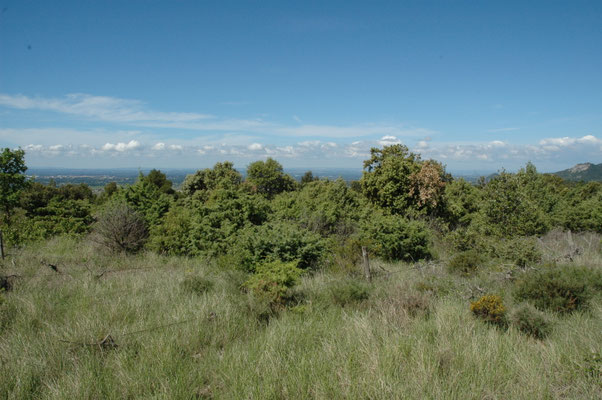 landschap nabijheid Mont Ventoux