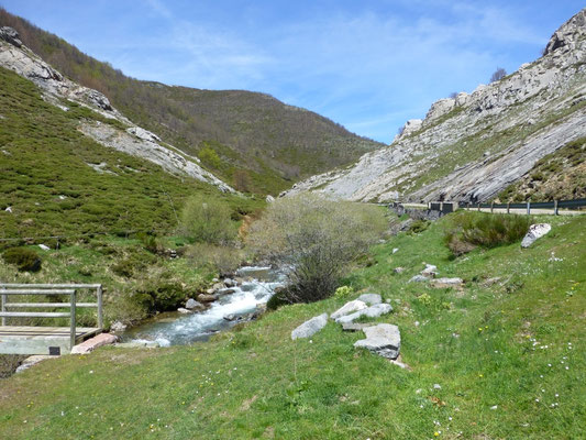 beek ten zuiden van Picos